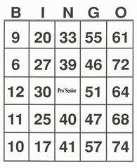 A4 bingokaarten met grote opdruk 